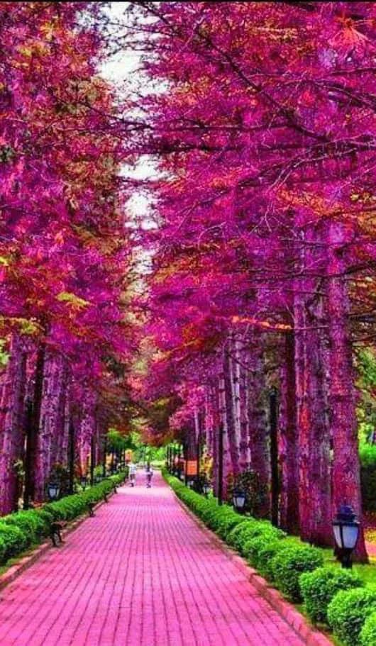 世界很大，風景很美，而你卻不是那個想走就走的人