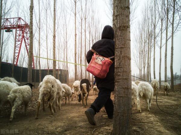 生活和精神壓力大，為何層次越低的人，越容易走極端？