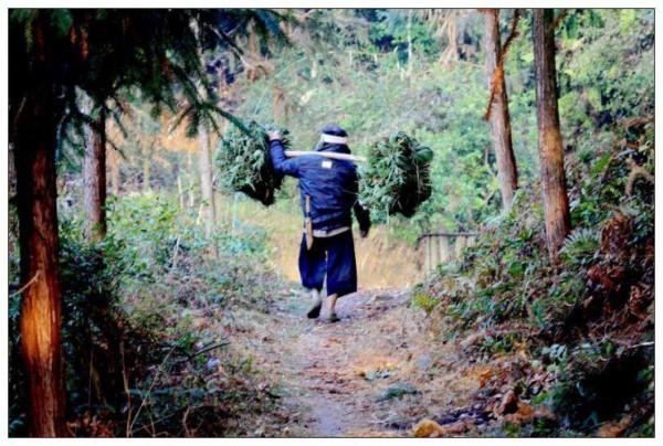 中國唯一允許擁有槍的村子，每個男人成年就能領一把槍