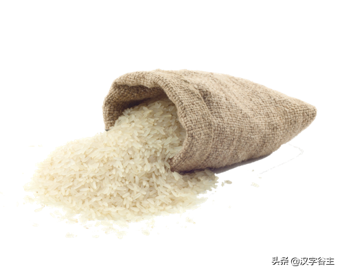 上山尋稻——走進國博“稻·源·啟明”上山文化考古特展