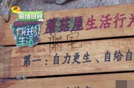 明星的那些招黑行為,哪個最讓你反感? 明星的那些招黑行為,哪個最讓你反感?