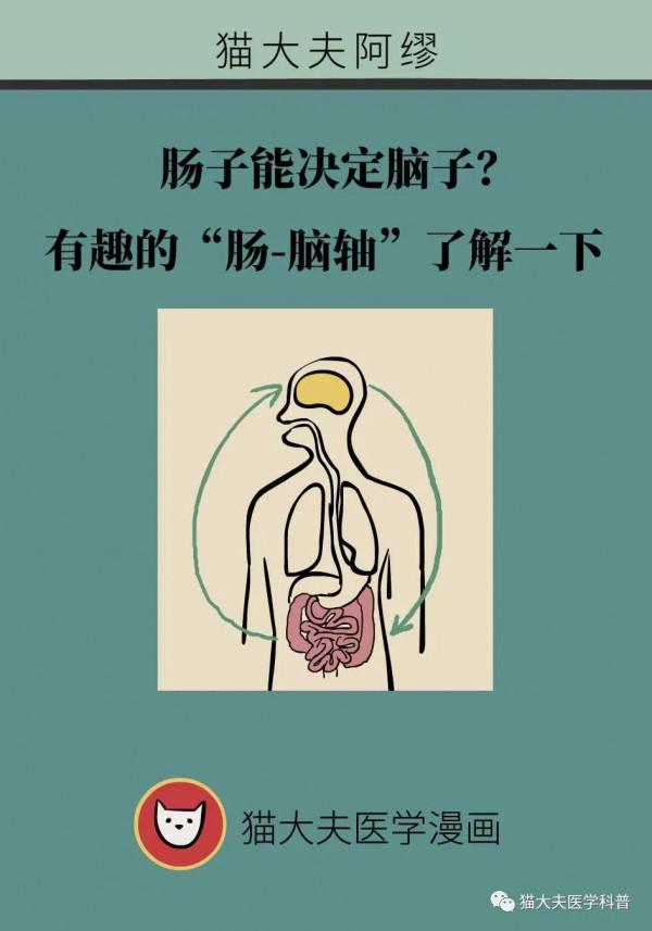 腸子能決定腦子？有趣的“腸-腦軸”瞭解一下
