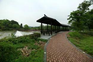 湯加火山噴發，北方農民需要注意全球氣溫變冷，選擇科學種地技巧