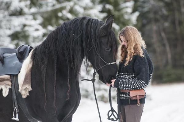 盤點八種昂貴的&OpenCurlyDoubleQuote;黑色神獸&rdquo;，黑雞也能價值一套房？黑虎僅剩6只