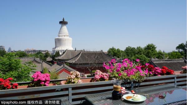 衚衕記憶 | 衚衕特殊角度發現京城之美，這些出片機位必來打卡！