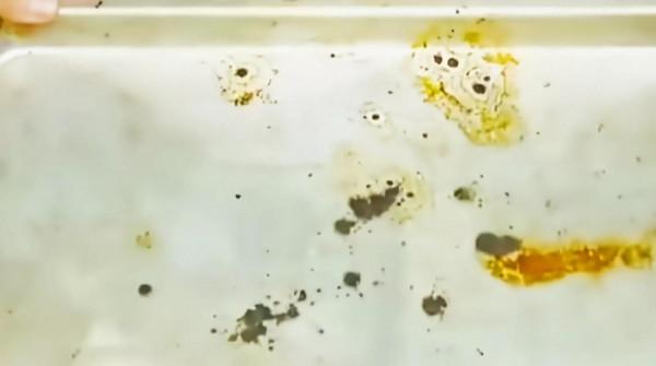 分享15個家庭小妙招，廢舊襪子還能這麼用？原來做家務如此輕鬆