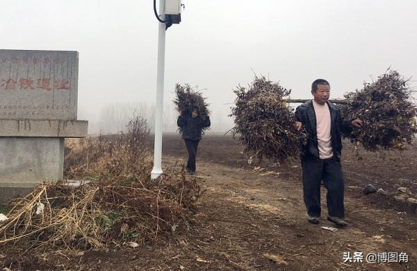 不虛此行:到了泌陽馬谷田撿不到隕石,就去下河灣冶鐵遺址看看吧 不虛此行:到了泌陽馬谷田撿不到隕石,就去下河灣冶鐵遺址看看吧