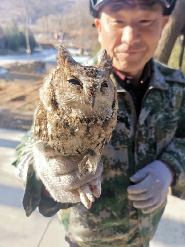 護林途中撿到兩隻鳥 竟是國家二級保護動物