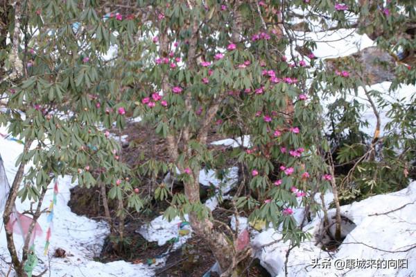 這條徒步線路太美了，這線路適合想去而沒有去過高原的人