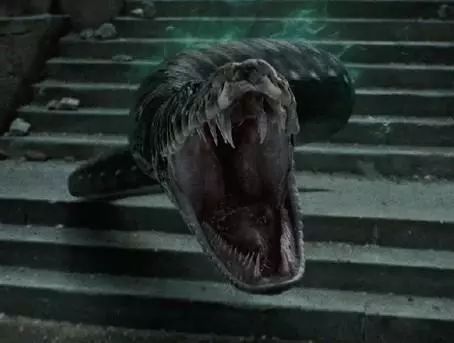 《哈利波特》納吉尼為什麼會死心塌地地跟著伏地魔? 《哈利波特》納吉尼為什麼會死心塌地地跟著伏地魔?