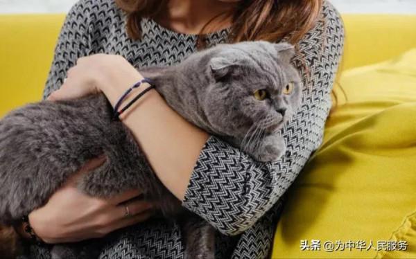 杭州16歲女孩腹痛惡心,因與寵物親密接觸,讓蟲進入體內 杭州16歲女孩腹痛惡心,因與寵物親密接觸,讓蟲進入體內