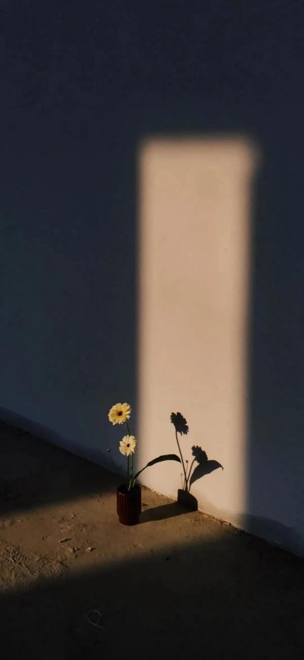 18期桌布丨風景桌布丨動漫桌布丨ins桌布丨