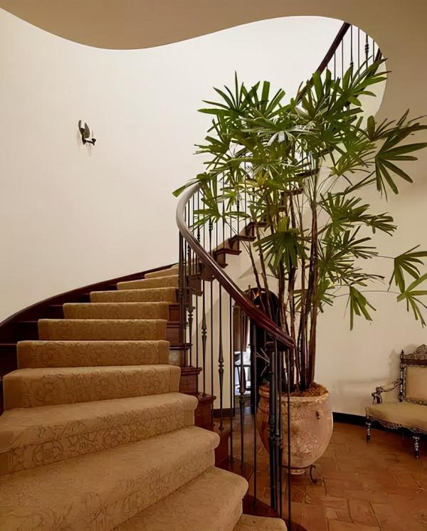 純乾貨 | 養花人必知的20條常識,收好了 純乾貨 | 養花人必知的20條常識,收好了