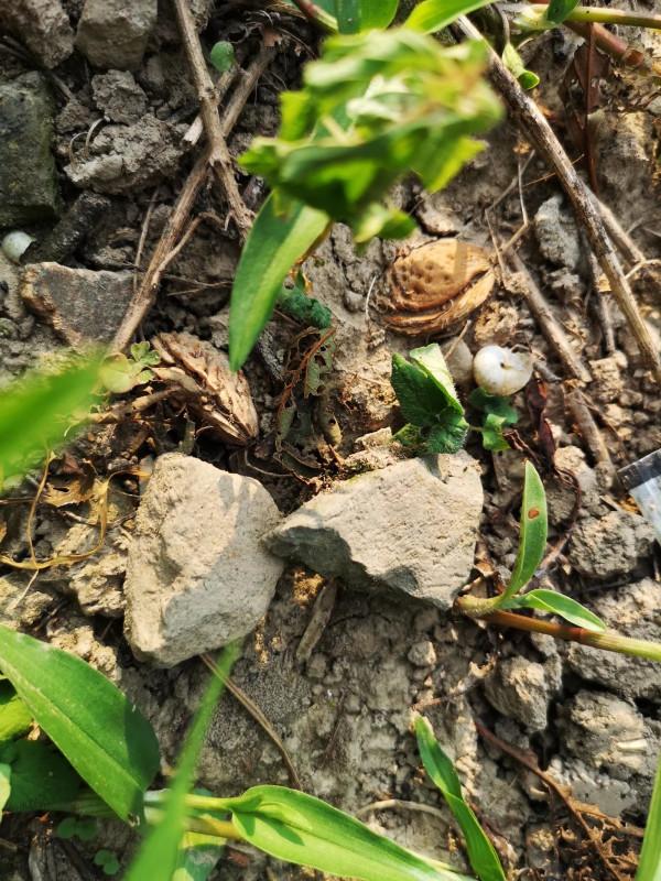 摩托周邊旮旯遊——尋朱元璋出家之於皇寺 摩托周邊旮旯遊——尋朱元璋出家之於皇寺