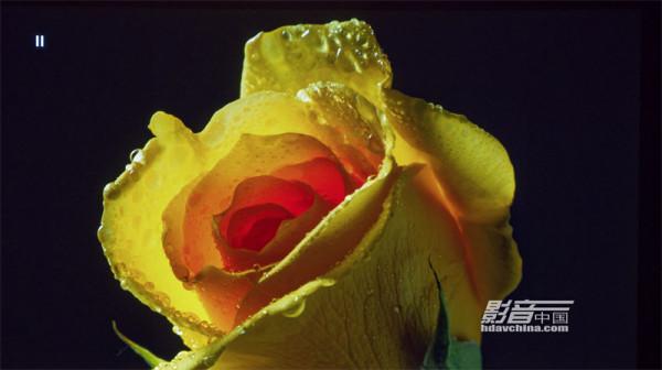 ViewSonic（優派）TX5000K：客廳百寸大屏市場的有力競爭者，擁有搶眼色彩的LED超短焦投影新貴