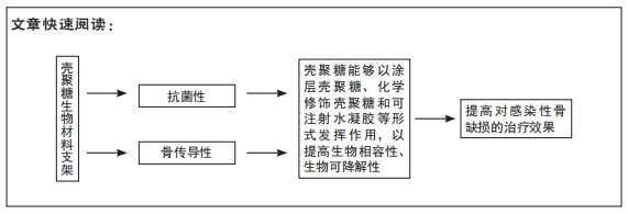 殼聚糖生物材料支架在治療感染性骨缺損中的應用
