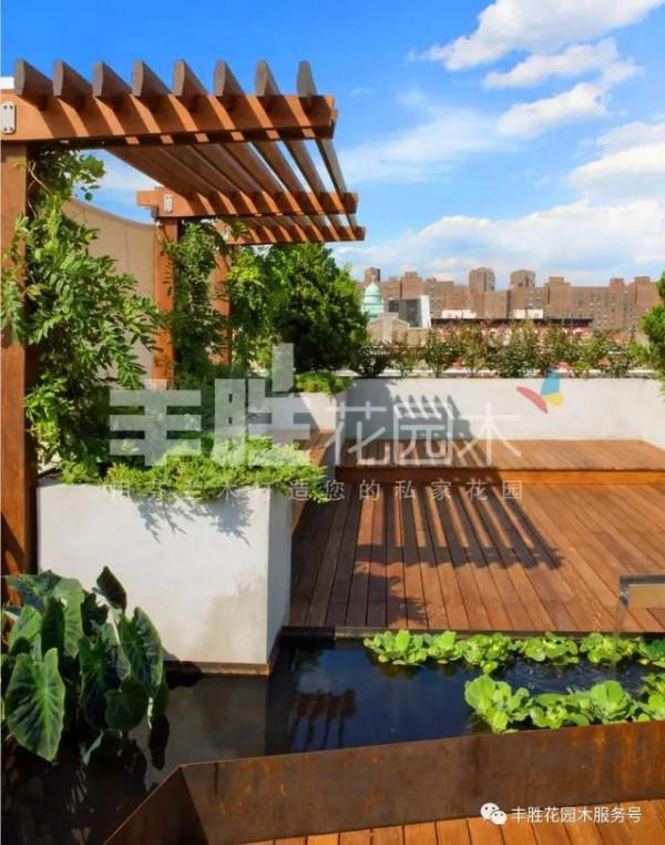 花架這樣玩，可以大有名堂