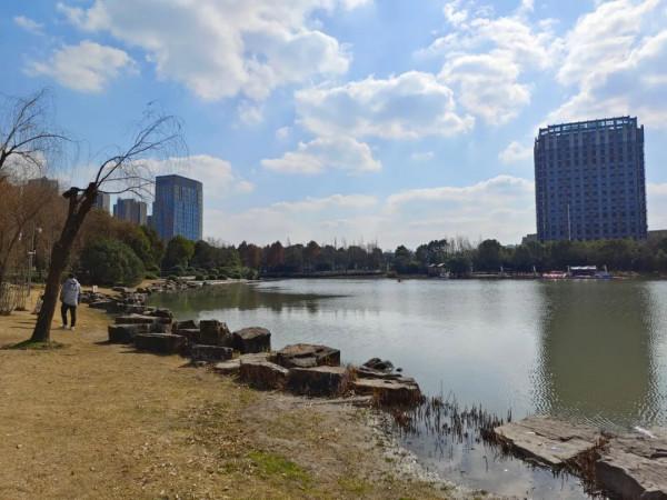 新年的南翔，到處都有美