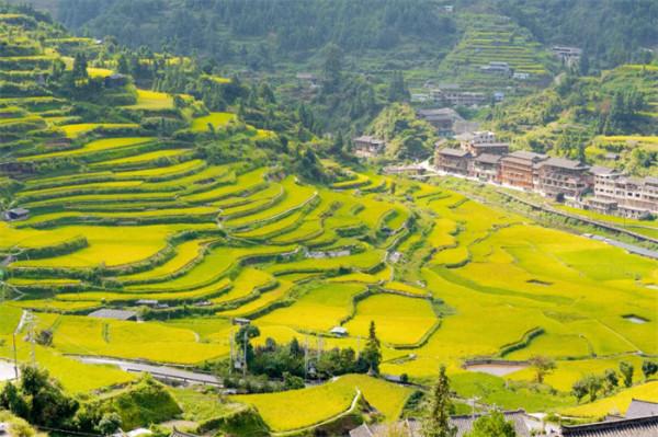 多彩貴州·康養度假勝地 | 賞梯田 住民宿 這才是打開秋季旅遊的正確方式