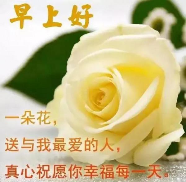 讓心靈憧憬美好，讓生活充滿陽光