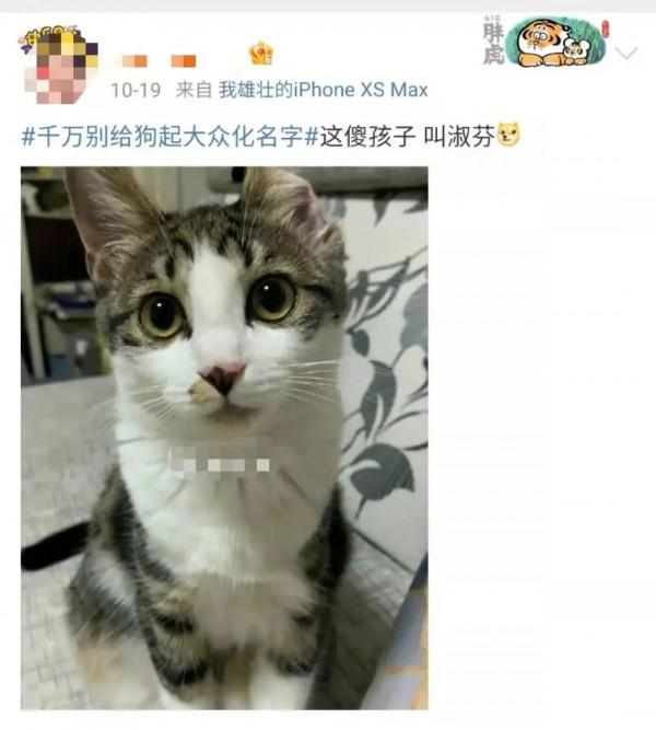 寵物店崩潰日常：太多“多多”了，你是哪家的多多