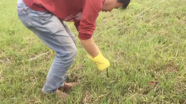 電魚禁止後,農戶又把目標換成“蚯蚓”?這“3點”危害需知曉 電魚禁止後,農戶又把目標換成“蚯蚓”?這“3點”危害需知曉