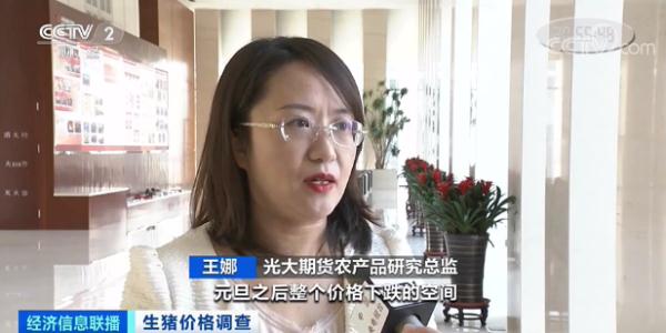 生豬價格跌破8元！接下來走勢？