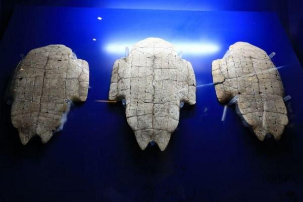 河南熱門旅遊景點 殷墟旅遊攻略 低音號免費語音導遊