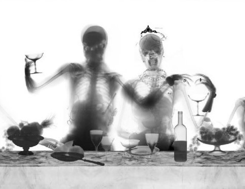 動物死後都會重歸自然，人類為何要打破自然規律選擇火化？