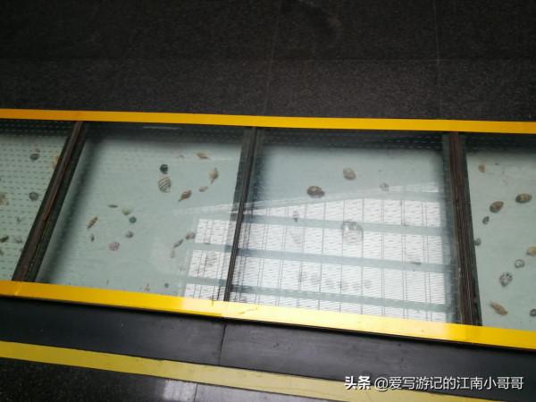 開啟廣東博物館之旅,首個重量級場館,是一堆美麗的會說話的石頭 開啟廣東博物館之旅,首個重量級場館,是一堆美麗的會說話的石頭