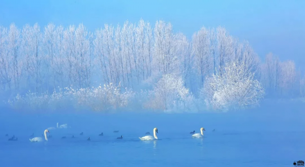 新疆剛下雪，小夥伴不淡定了：原來冬天的新疆是這樣的