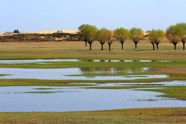 再次創造世界奇蹟!中國第一個即將消失的沙漠,整整花了60年 再次創造世界奇蹟!中國第一個即將消失的沙漠,整整花了60年