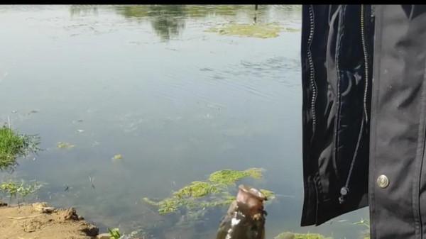 釣魚釣草窩！草窩分三種：金窩、銀窩和狗窩