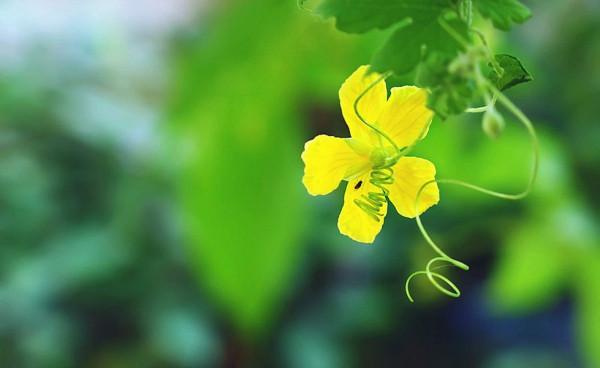 為人硬氣又有骨氣的星座，外表看似溫和但也不好欺負