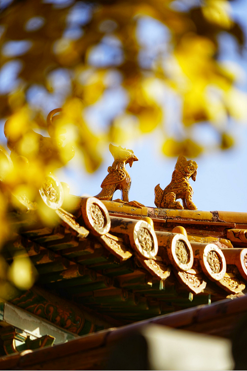 秋韻北京“宮”候多時