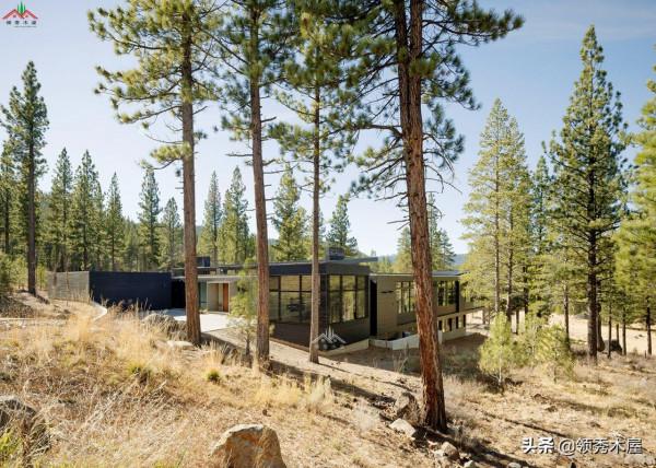 混凝土基礎鋼材作框架結構木材作裝飾吊頂這樣的現代風格木屋好嗎