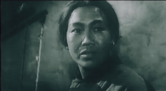 電影《苦菜花》的故事 電影《苦菜花》的故事