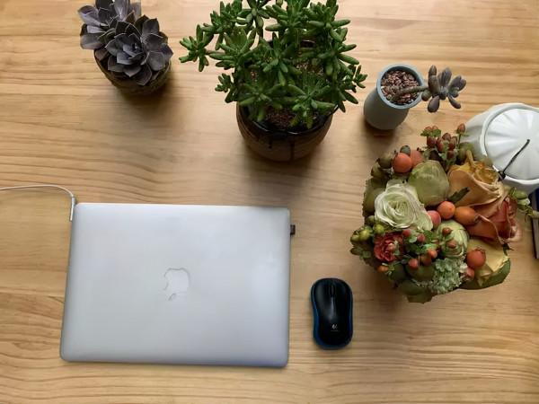 45天改造70㎡自家院子,他僅花4.2萬元,改後的花園也太美了吧 45天改造70㎡自家院子,他僅花4.2萬元,改後的花園也太美了吧