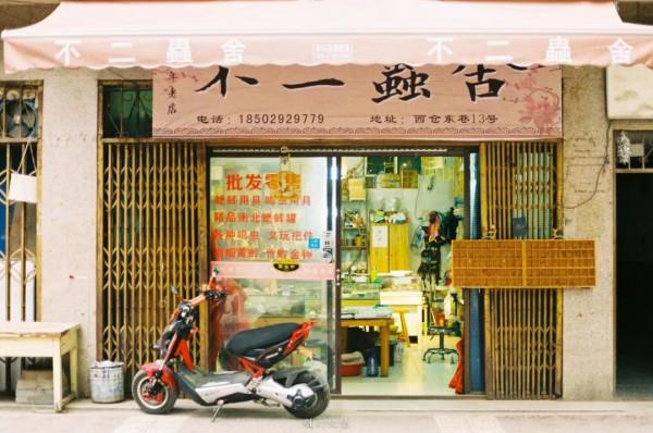 破舊市井裡，卻藏著煙火氣的院子生活