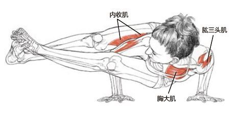 手臂，腹部力量夠嗎？試試這個瑜伽體式