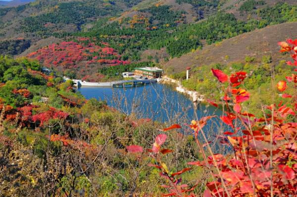香山附近免費且人少的賞紅葉佳境，湖光山色、紅葉漫山