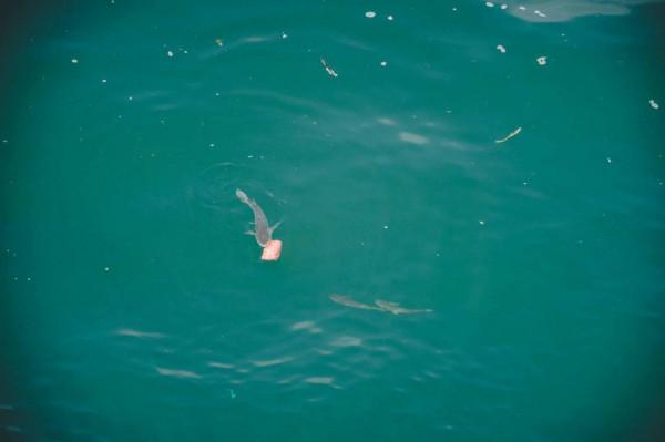 「兼修內外」整備一臺08年的寶馬730LI,重覽那年登陸的絕塵風華 「兼修內外」整備一臺08年的寶馬730LI,重覽那年登陸的絕塵風華