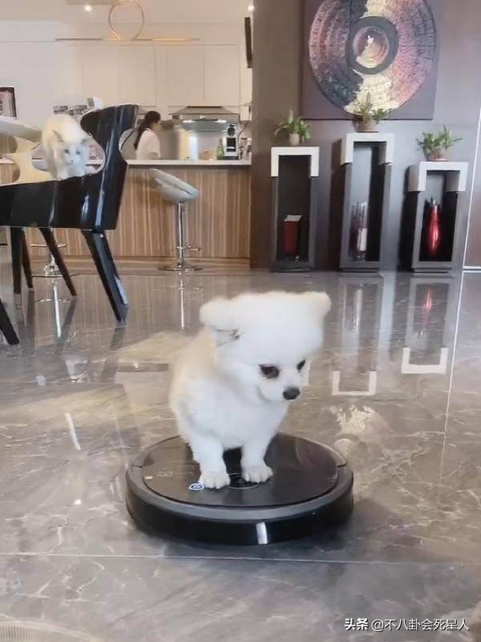 嫁內地小藝人的富婆港星，給公婆買房，拼四胎，個個有千萬豪宅