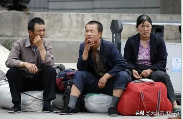 我該怎麼辦——一位農民的日記 我該怎麼辦——一位農民的日記