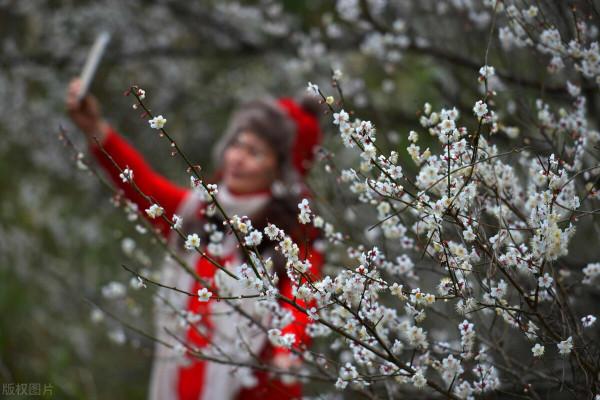 冬季到底哪裡最美？盤點這5個地方，讓你在寒冬也找到出行的樂趣