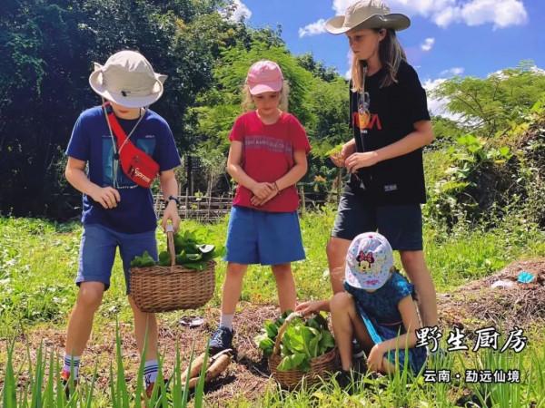 週末幹什麼—體驗野生廚房呀
