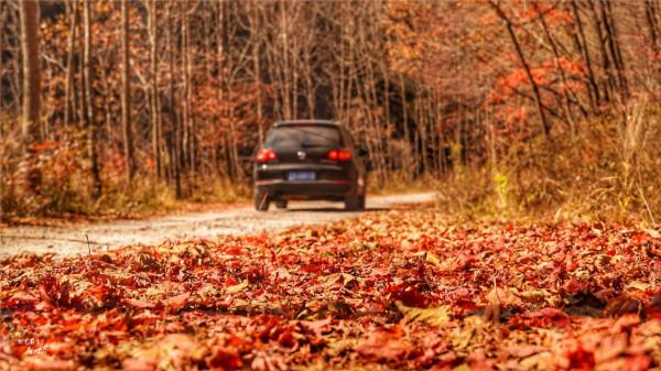 本溪有一個可以自駕遊覽的景區，觀賞紅葉絕美，今年秋天不能錯過
