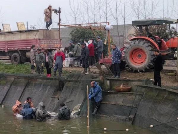 農民不出去打工,在家依然能幹得風生水起,過上小康生活 農民不出去打工,在家依然能幹得風生水起,過上小康生活