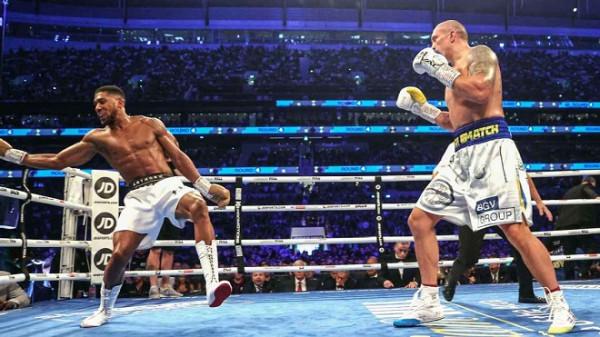 喬書亞能否復仇烏西克？倆拳王給出看法：激發殺手本能，重拳碾壓