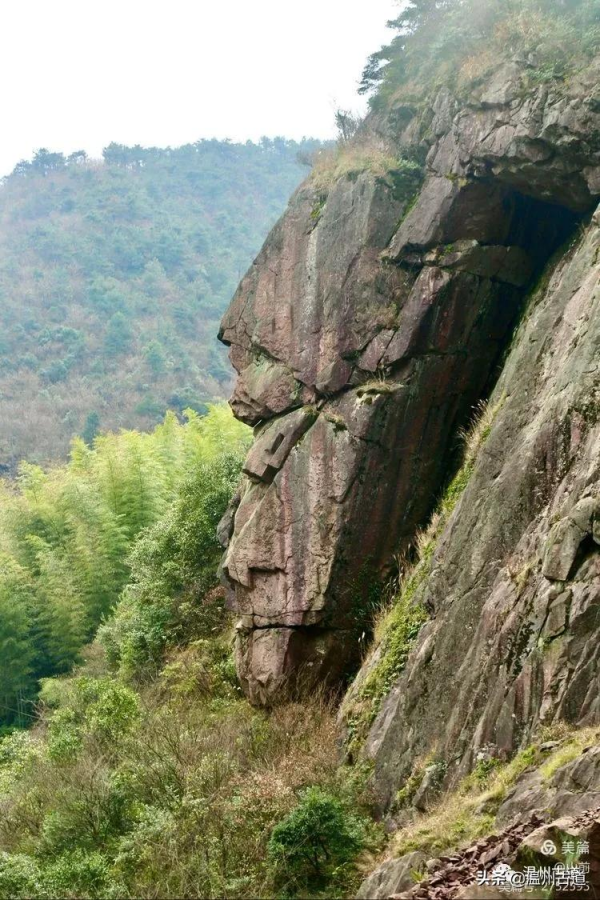 這條被譽為“浙江西南第一嶺”的紅楓古道你去過嗎？